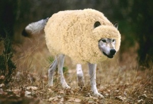 Frei Rojão  lobo em pele de cordeiro wolf-in-sheeps-clothing1
